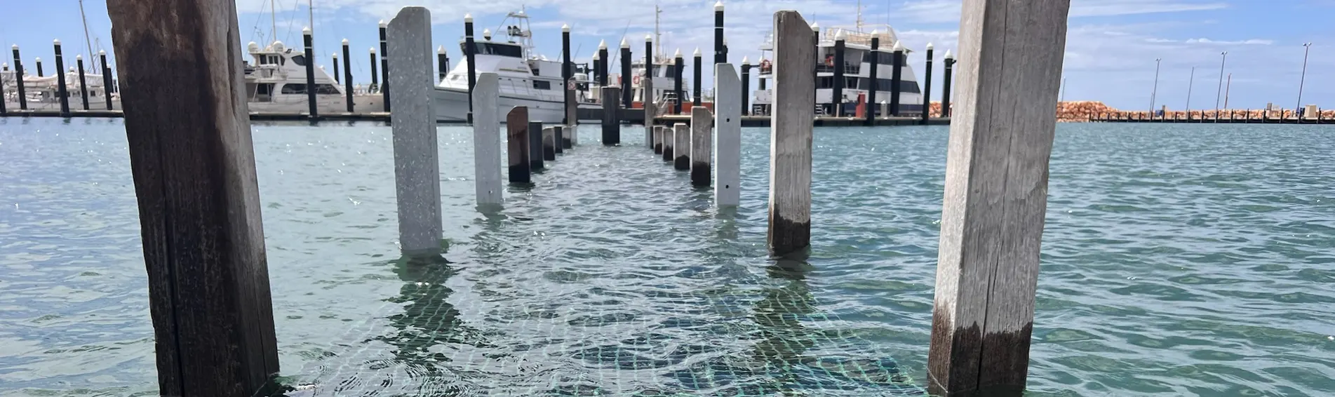 JETTY MAINTENANCE WESTERN AUSTRALIA BIG ISLAND MARINE SERVICES PERTH